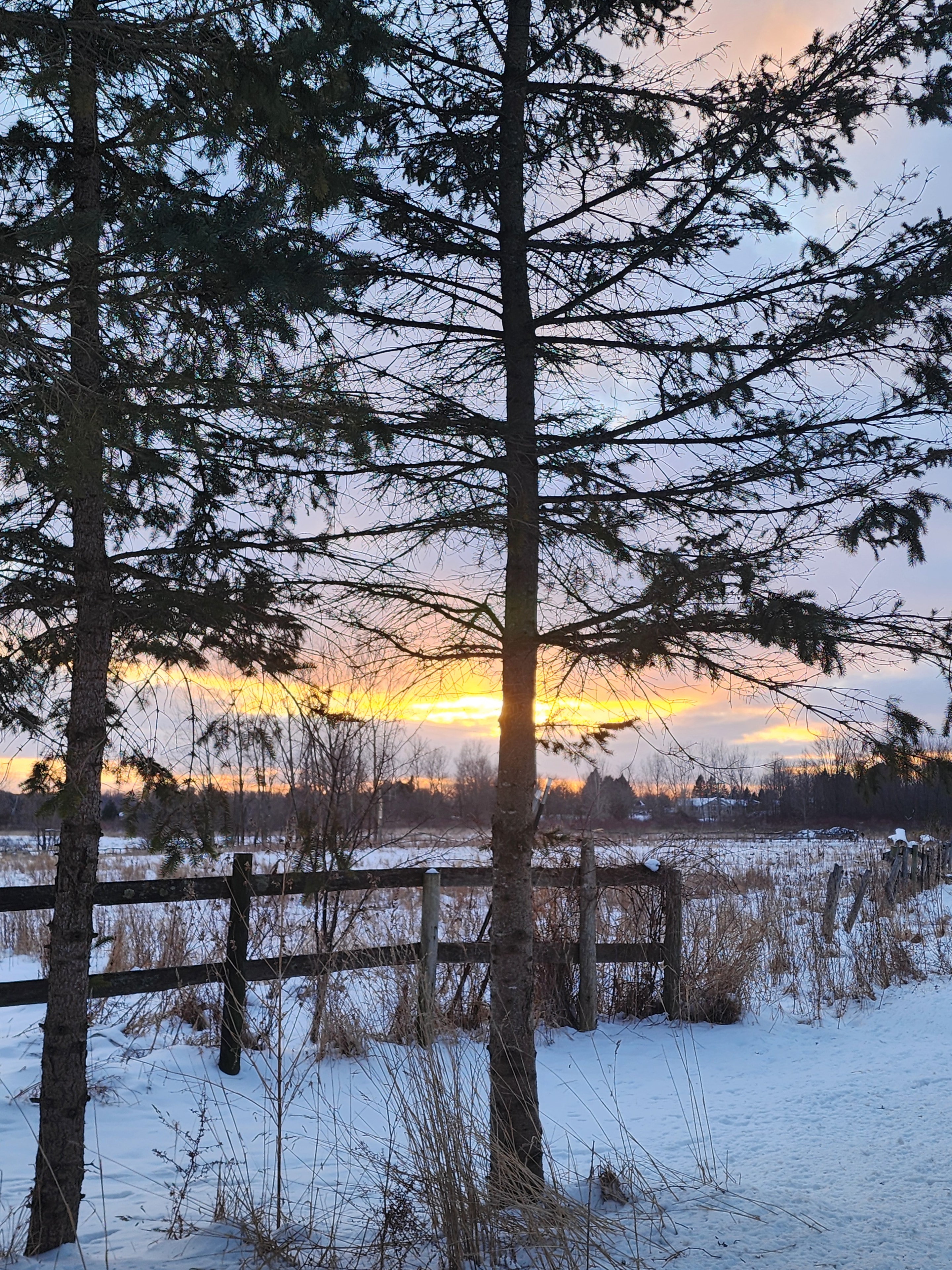 Winter sunrise over the snowy fields and fence line at Small Batch Cattle Co.