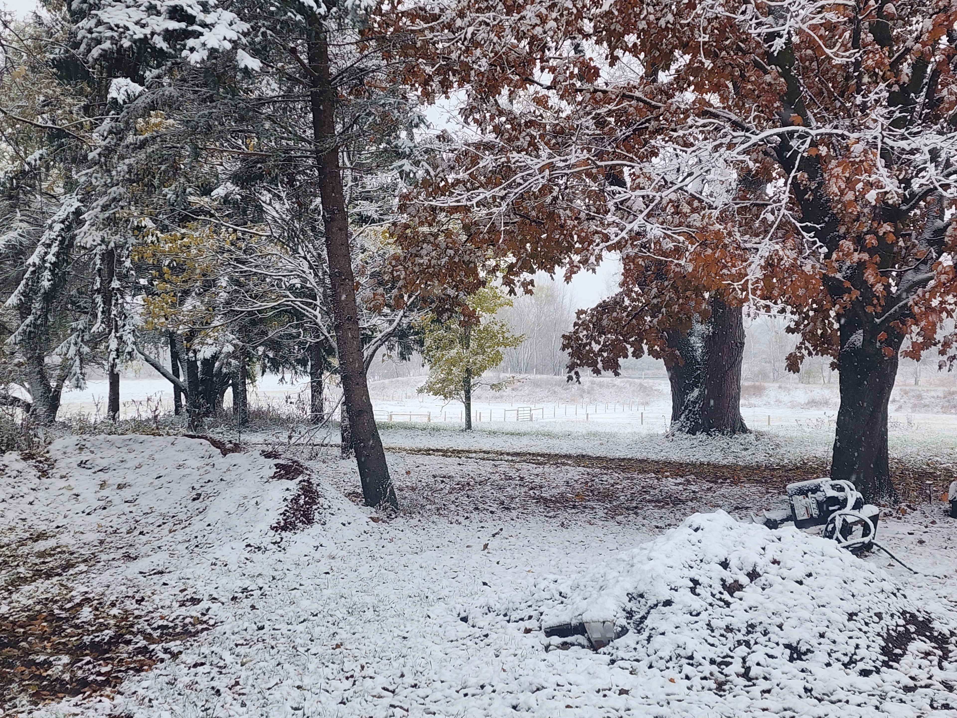 First snow of the season dusting the trees and pastures at the ranch