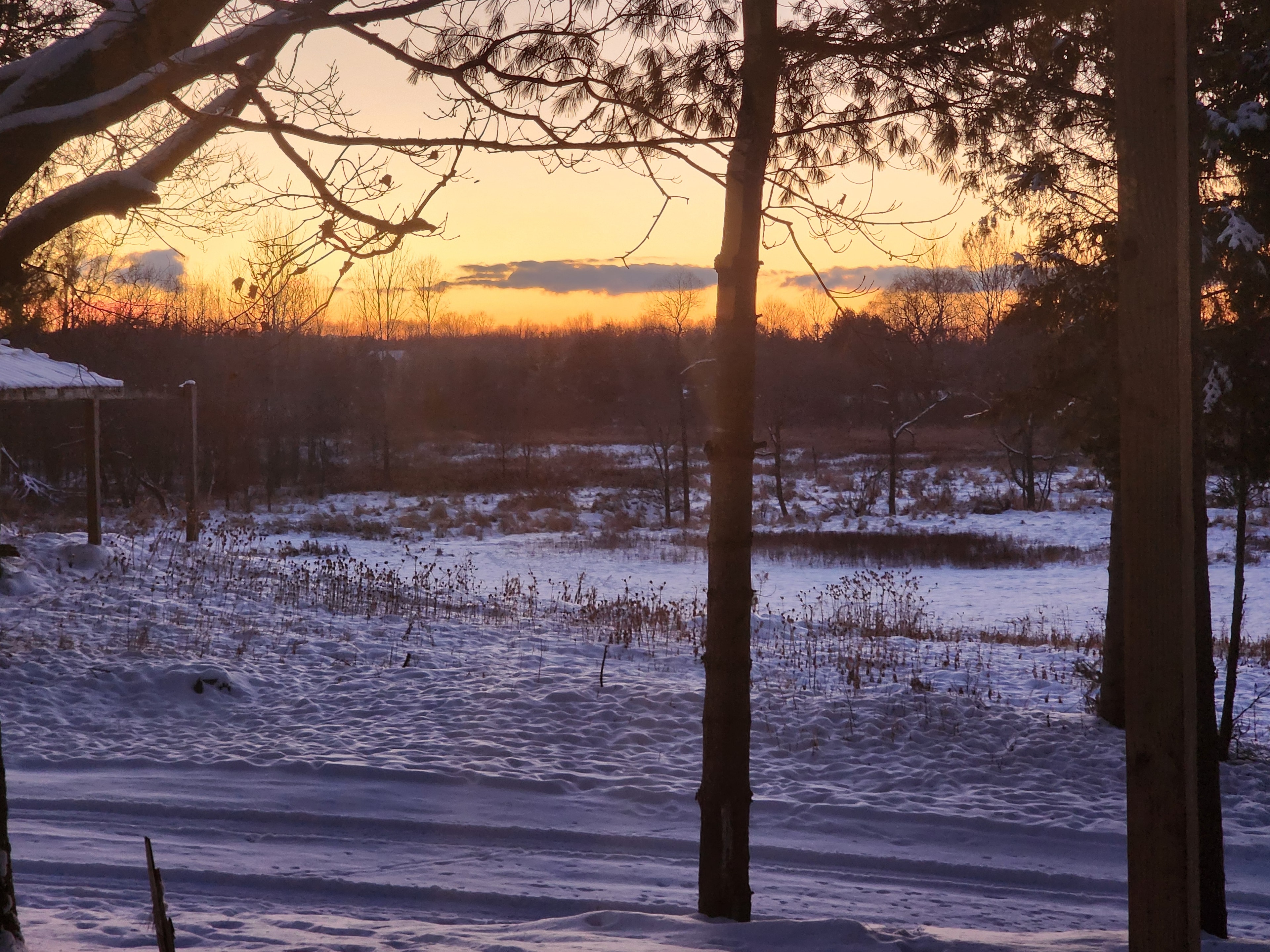 Golden winter sunset over the snow-covered ranch fields and tree line